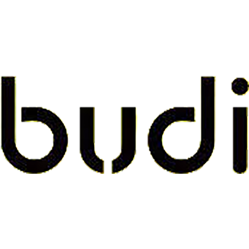 BUDI