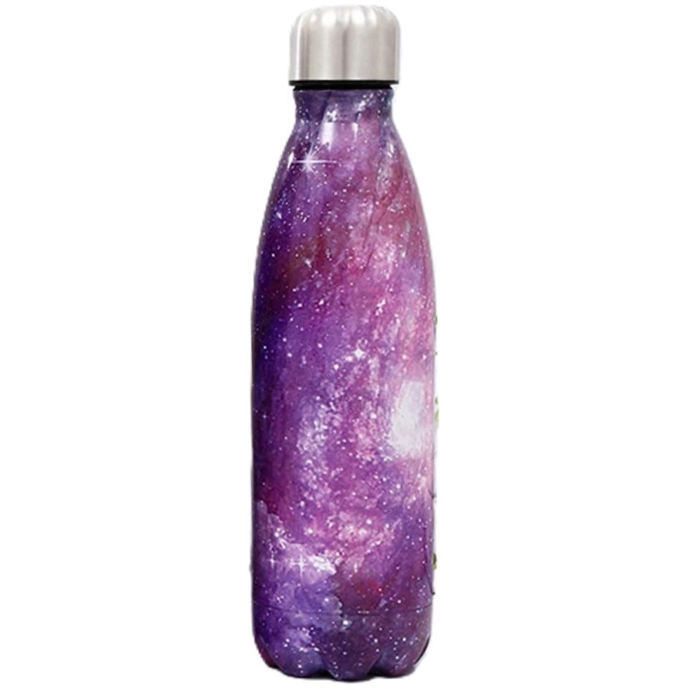 Double Stainless Steel Water Bottle 500ml Purple Galaxy 