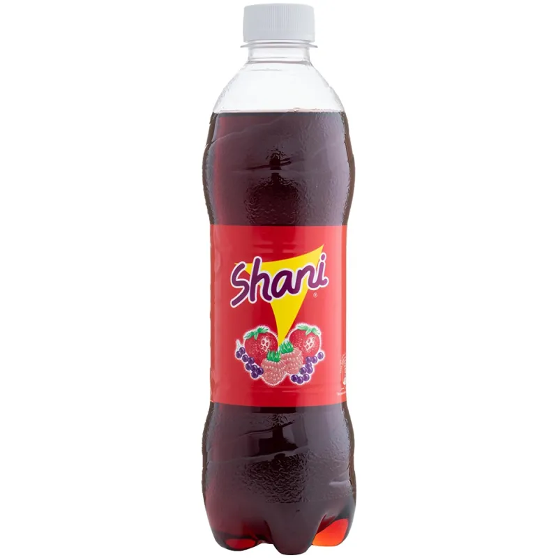 Shani Fruit Drink 500ml (Pack of 12)